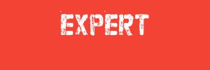 Expert_600x200 EXPERT
